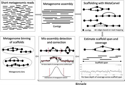 Binnacle: Using Scaffolds to Improve the Contiguity and Quality of Metagenomic Bins